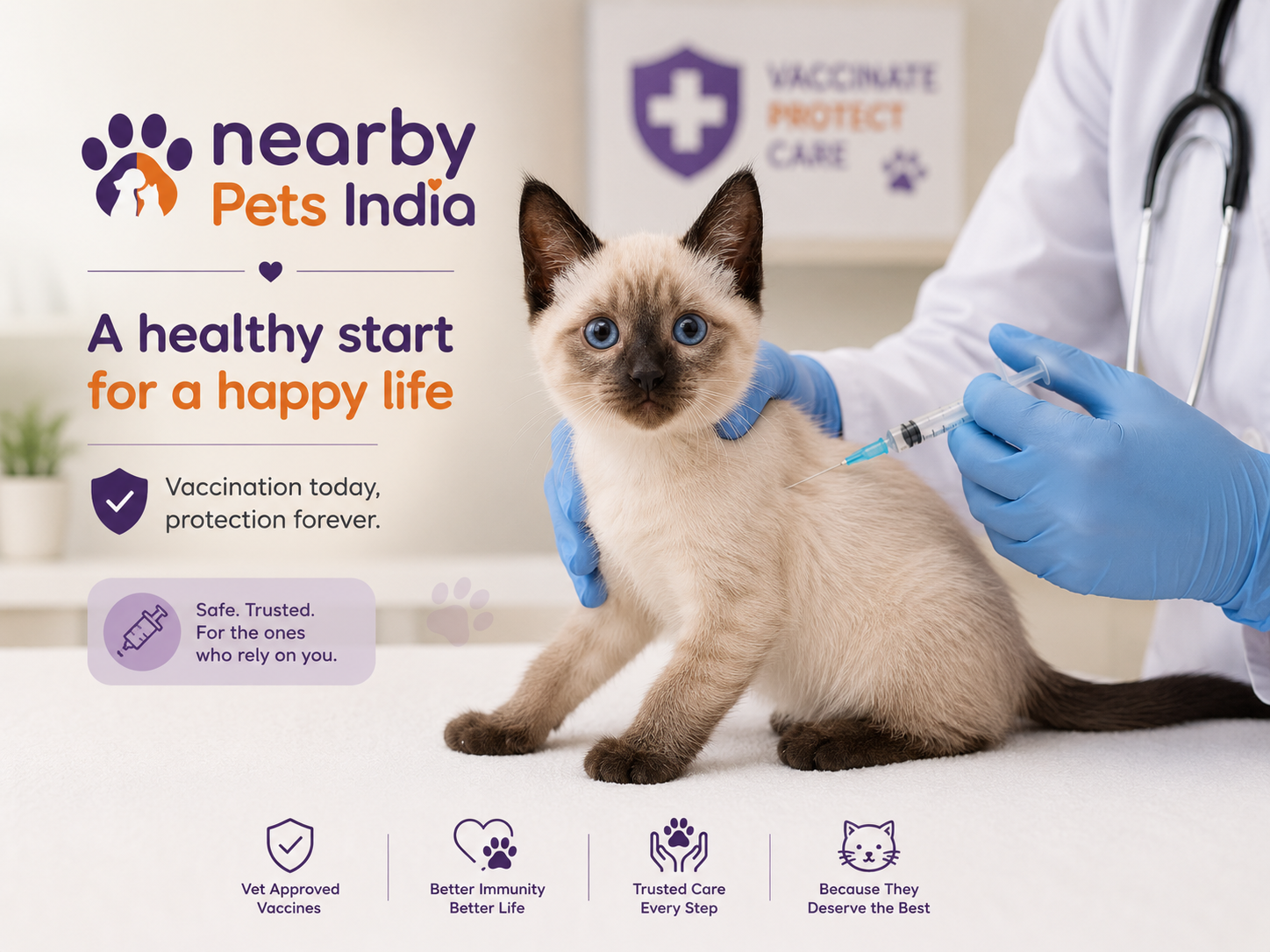 Siamese Kitten vaccination schedule India